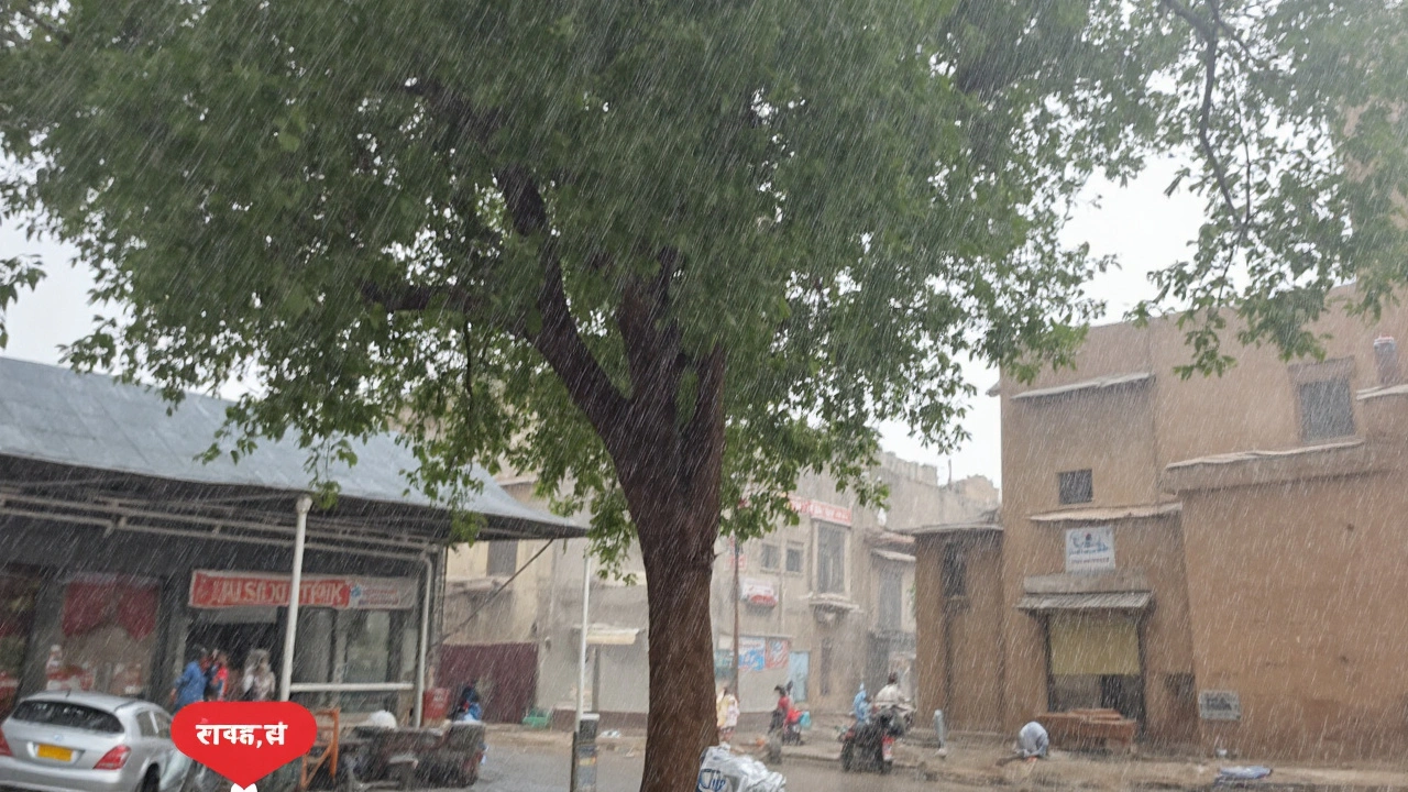 स्थानीय प्रशासन की तैयारियां और आम लोगों के लिए सलाह
